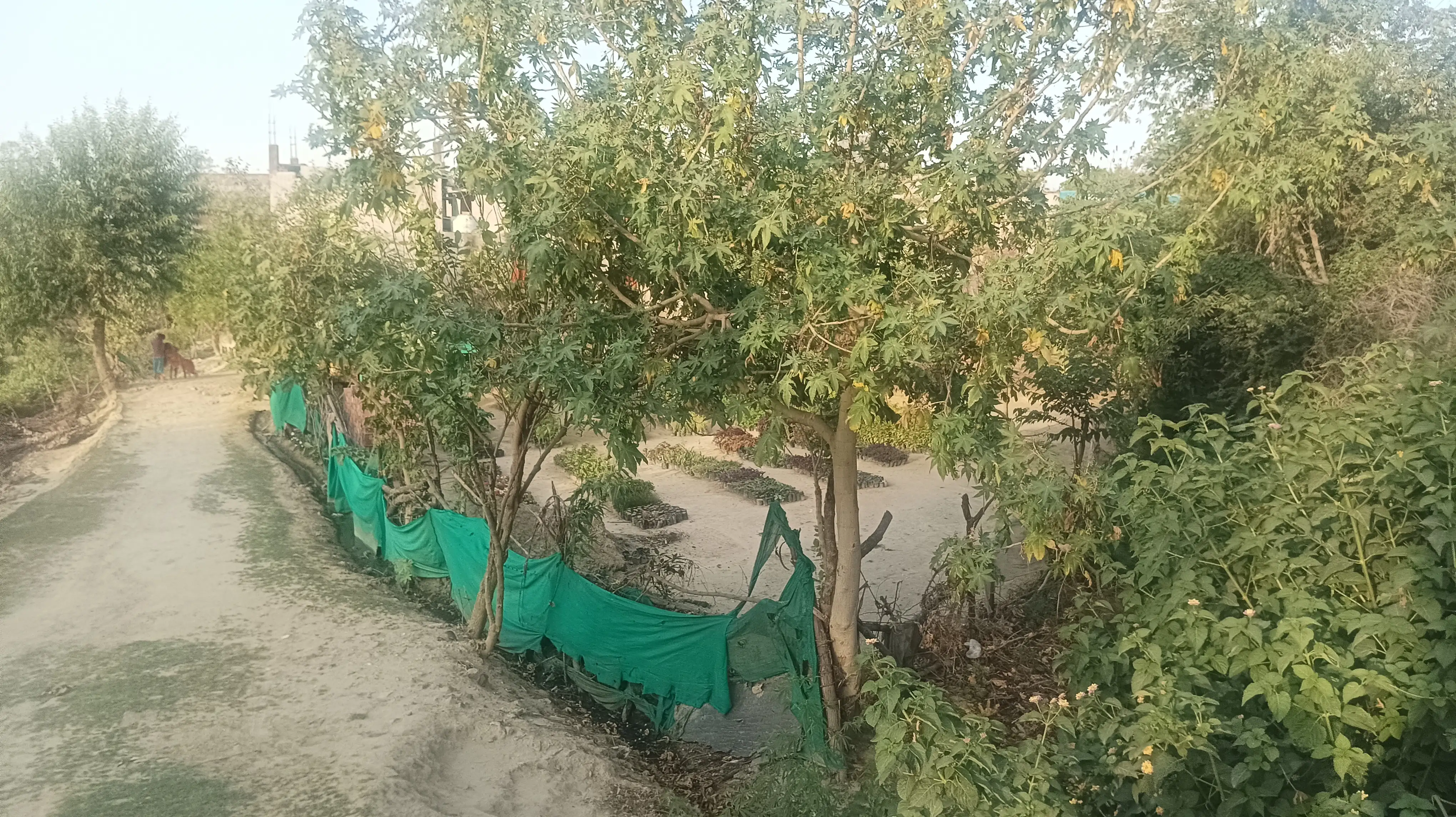 Free Hold plot 4000 sqft for residential & comercial use satrik road Lucknow Price 1,20,00,000